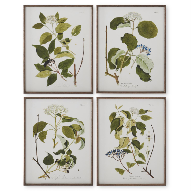 Dark Wood Framed White & Green Botanical Prints
