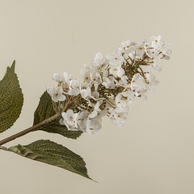 WHITE LILAC STEM