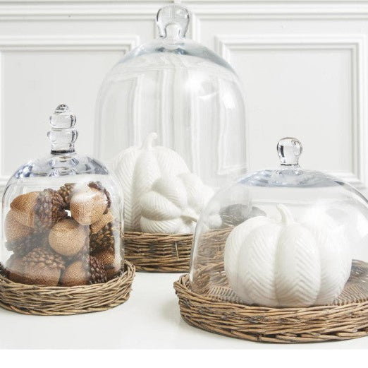 Glass Cloches w/Woven Wicker Tray