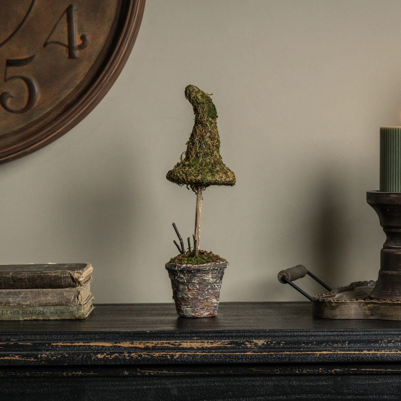 POTTED MOSS WITCH'S HAT