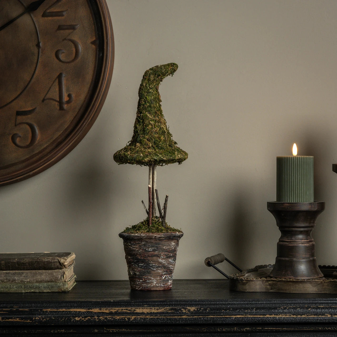 POTTED MOSS WITCH'S HAT