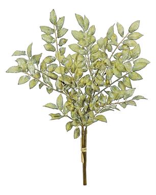 AUTUMN RUSCUS LEAF BUNDLE/OLIVE