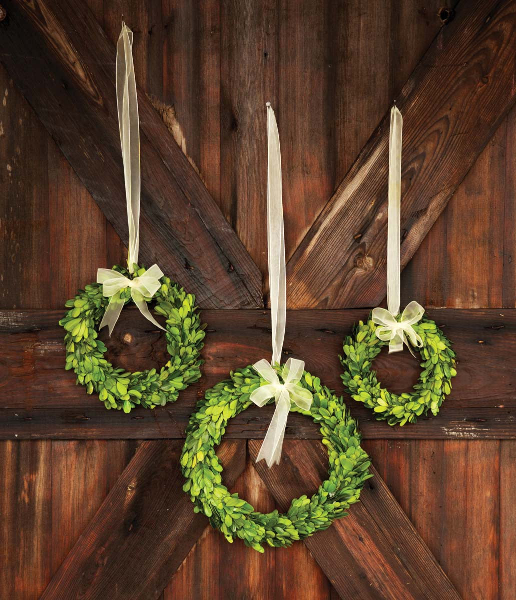 Preserved Boxwood Wreaths with Ivory Ribbon