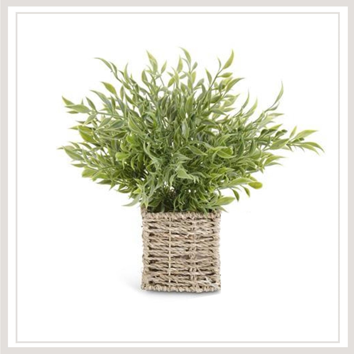 12 Inch Herbs in Woven Basket (Style 1 of 3)